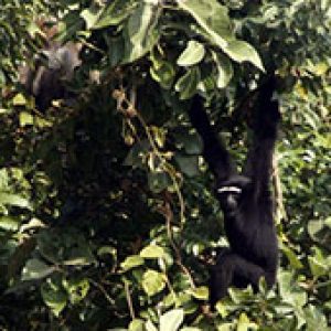 Chittagong und Sylhet, Bangladesch